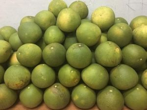 Bưởi Bằng Doãn