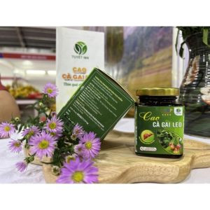Lọ 100 Gam Cao Cà Gai Leo