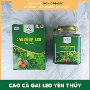 Cao Cà Gai Leo Lọ 100g