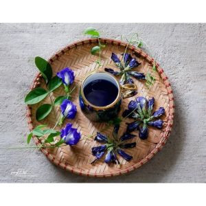 Trà Hoa Đậu Biếc
