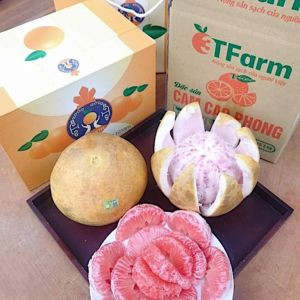 Bưởi Đỏ Tân Lạc