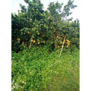 Vì Một Tương Lai Tươi Đẹp