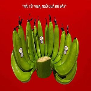 Chuối Viba Nải Xanh Cho Mâm Ngũ Quả Dịp Tết